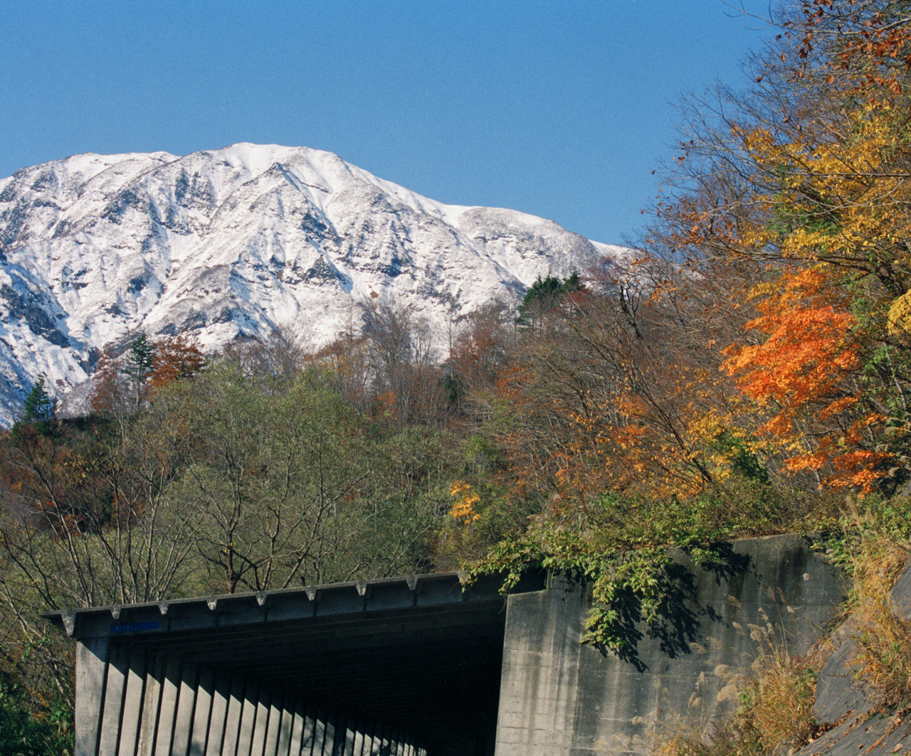 紅葉の浅草岳
