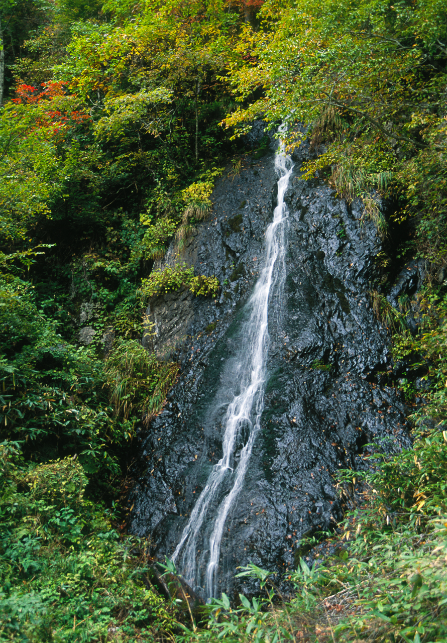 水滴る