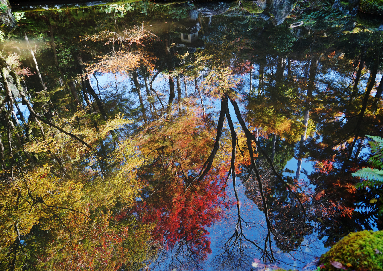 水鏡の秋