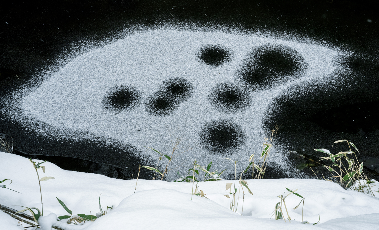 雪江
